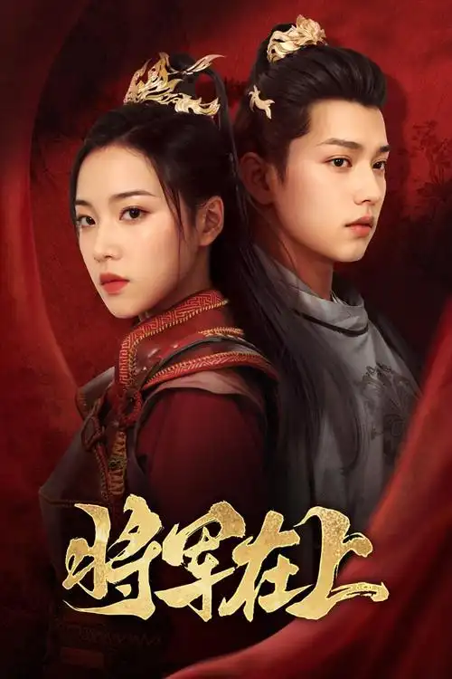 闪婚总裁的替身妻 海报